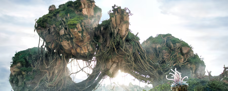 The Perfect One-Day Itinerary for Adults: Animal Kingdom Edition